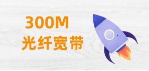 公明300M联通宽带资费套餐